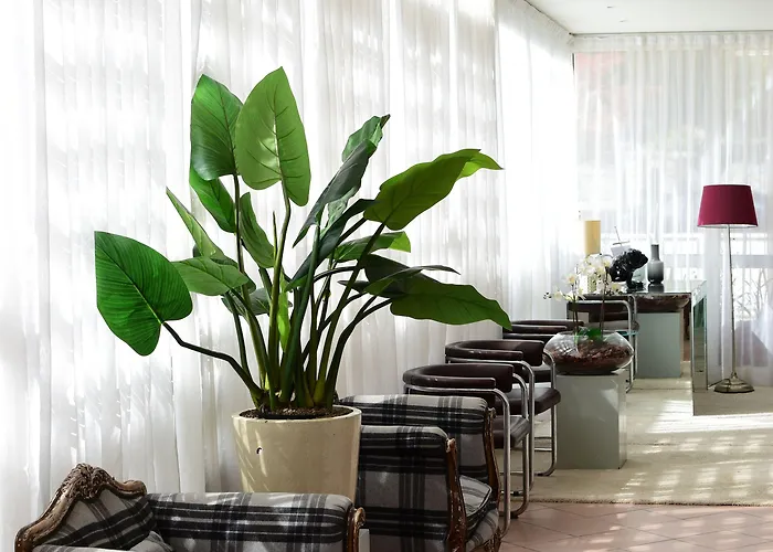 Maarea Hotel